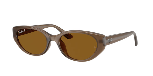 RAY-BAN RB4457D 677983 55