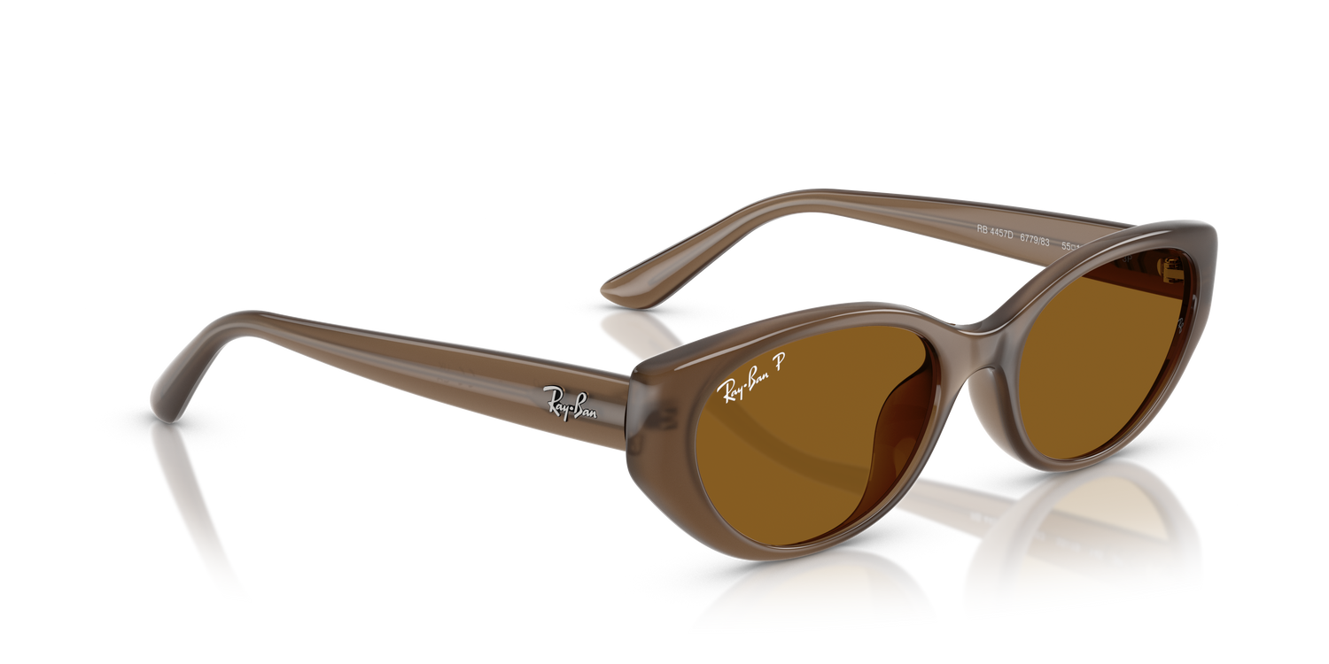 RAY-BAN RB4457D 677983 55