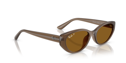 RAY-BAN RB4457D 677983 55