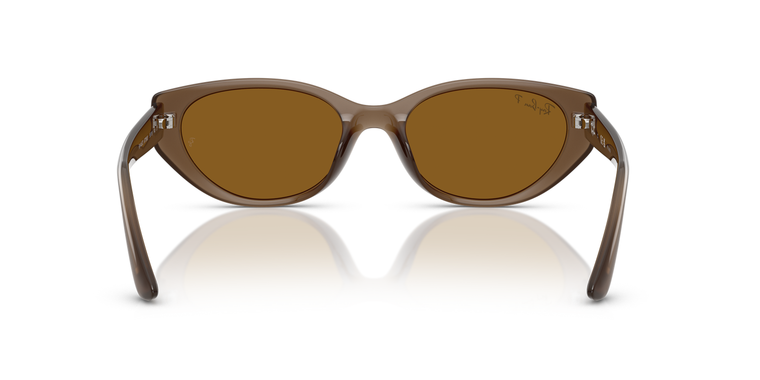 RAY-BAN RB4457D 677983 55