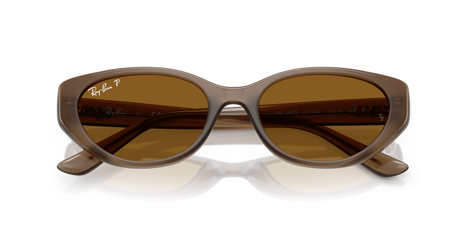 RAY-BAN RB4457D 677983 55