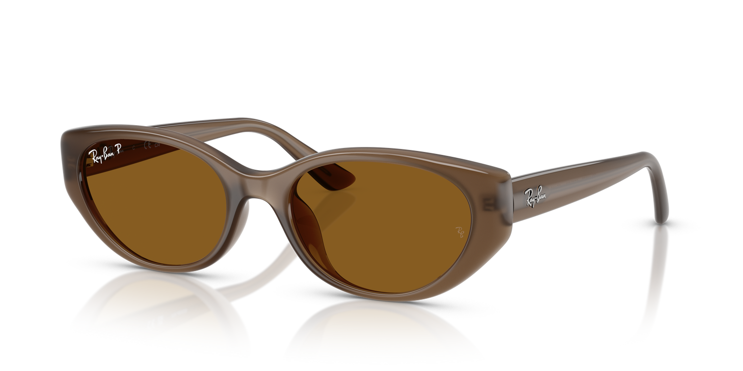 RAY-BAN RB4457D 677983 55