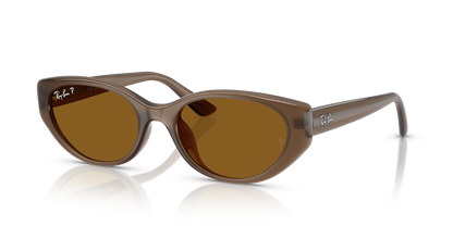 RAY-BAN RB4457D 677983 55