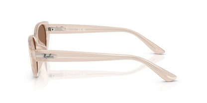 RAY-BAN RB4457D 678673 55