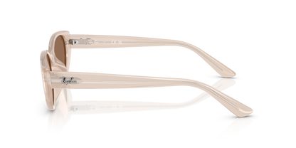 RAY-BAN RB4457D 678673 55