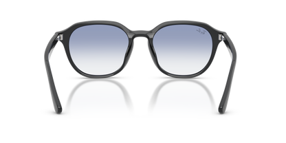 RAY-BAN RB4459D 623019 54