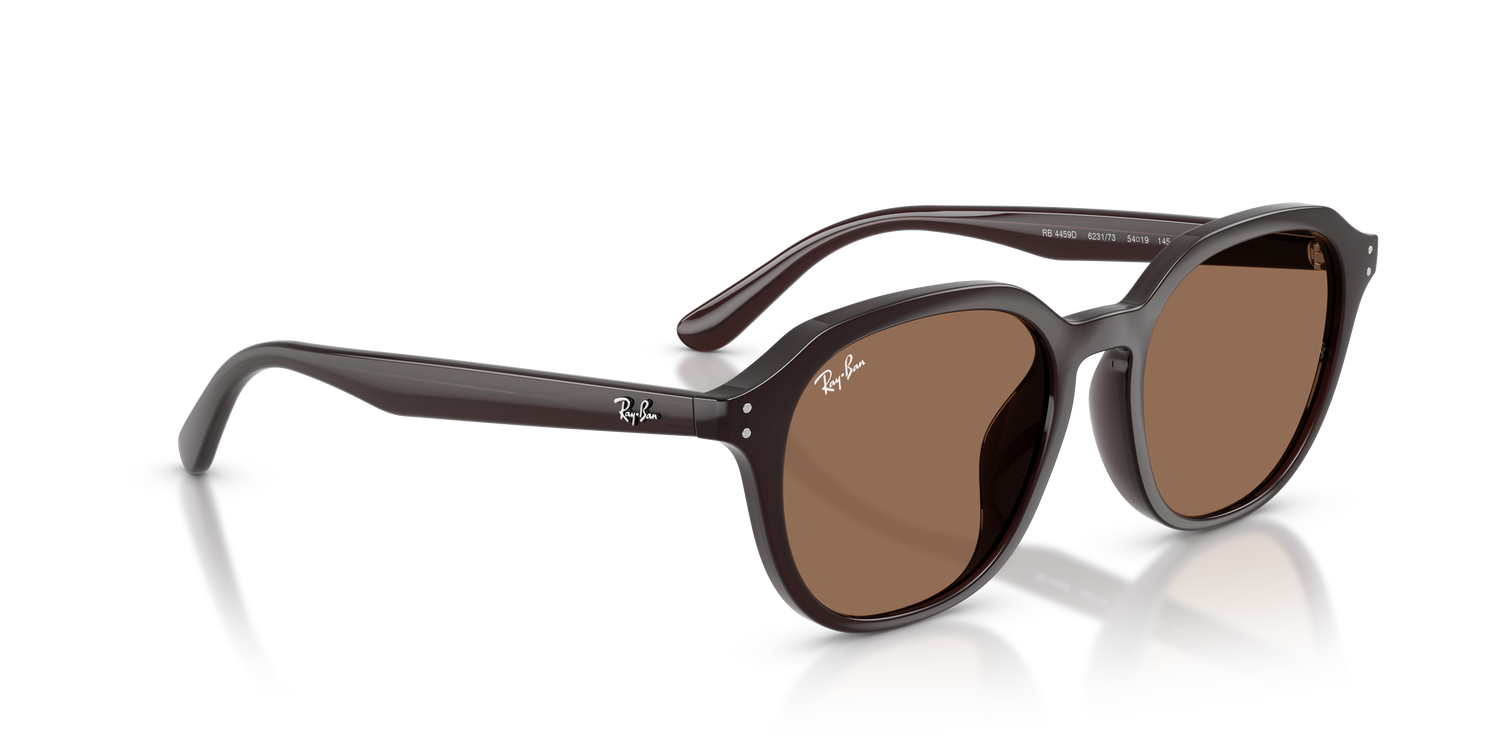 RAY-BAN RB4459D 623173 54