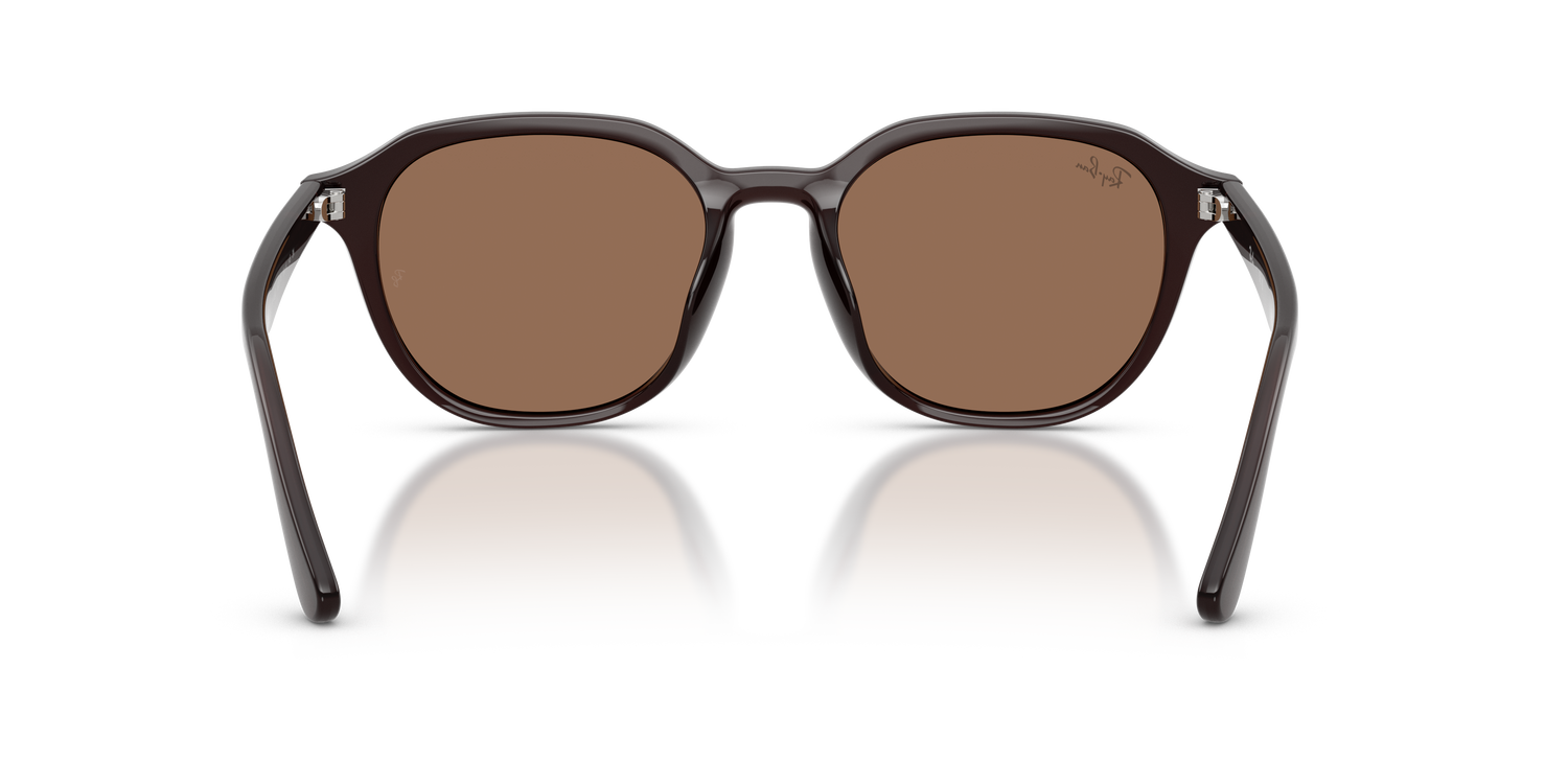 RAY-BAN RB4459D 623173 54