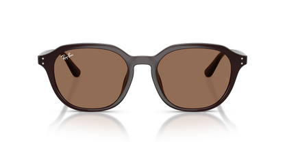 RAY-BAN RB4459D 623173 54