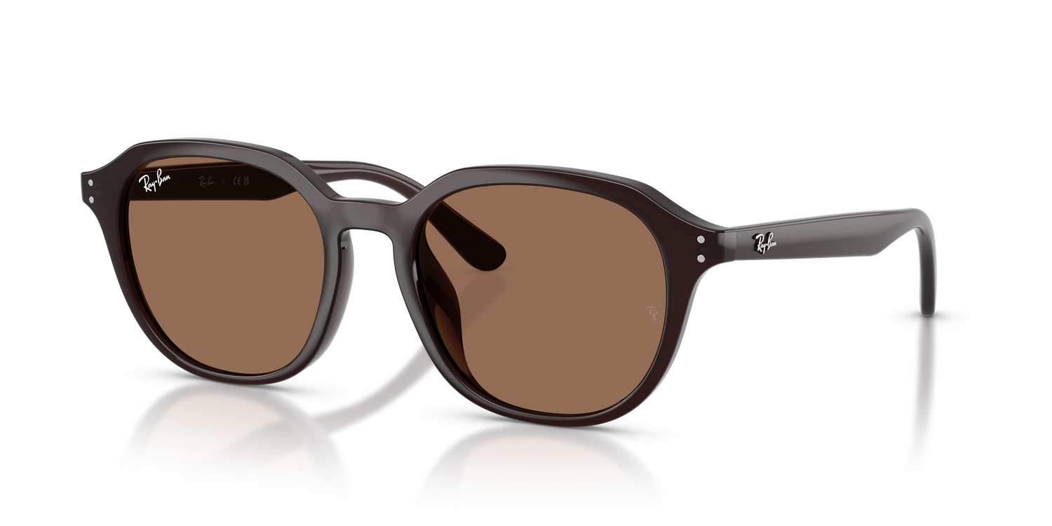 RAY-BAN RB4459D 623173 54
