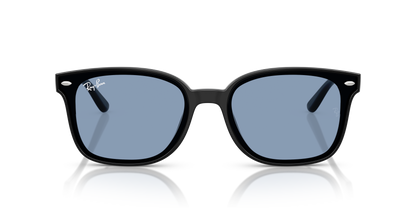 RAY-BAN RB4461D 601/80 64