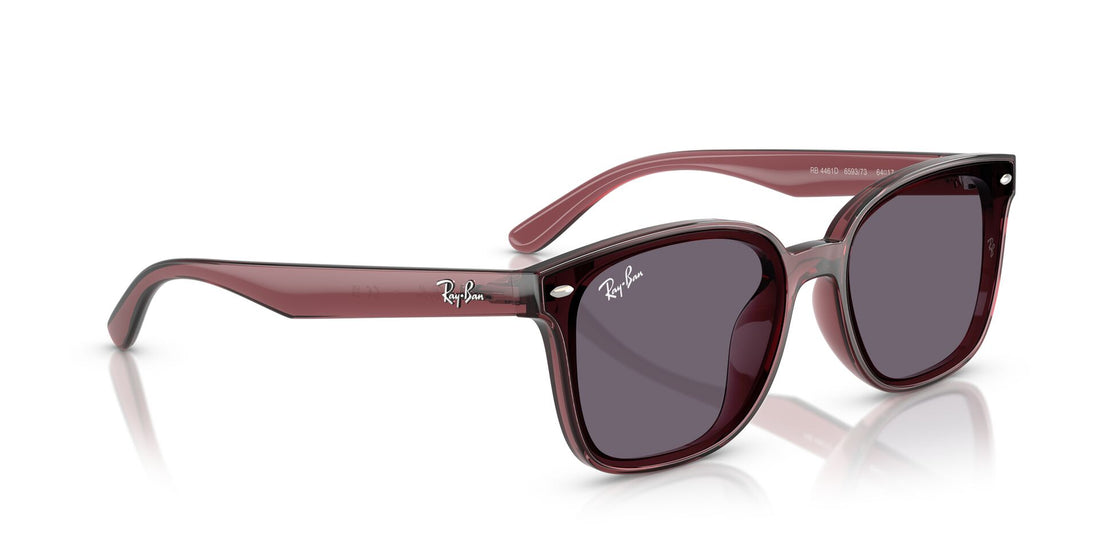 RAY-BAN RB4461D 659373 64
