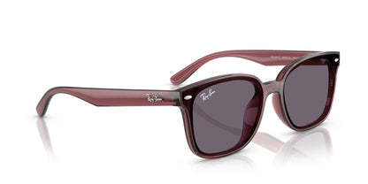 RAY-BAN RB4461D 659373 64