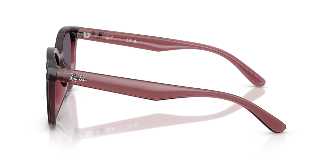 Sunglasses ray-ban rb4461d 659373 marron rectangular unisex size 64mm - Detailed view