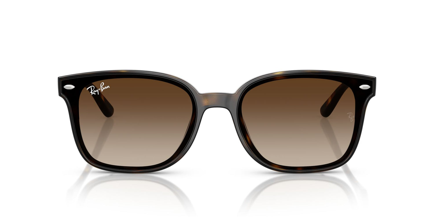 RAY-BAN RB4461D 710/13 64