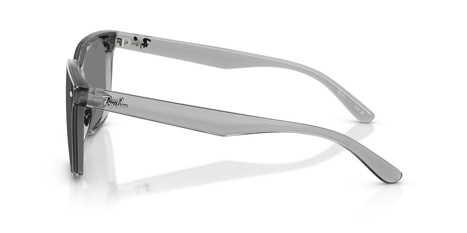 RAY-BAN RB4466D 645087 47