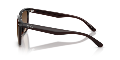 RAY-BAN RB4466D 714/13 47