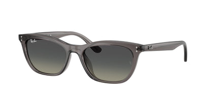 RAY-BAN RB4474D 667511 54
