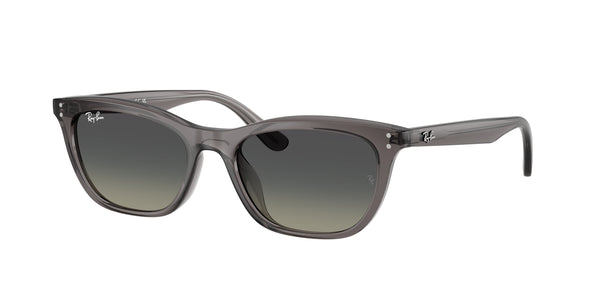 RAY-BAN RB4474D 667511 54