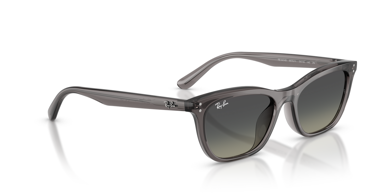 RAY-BAN RB4474D 667511 54