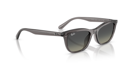 RAY-BAN RB4474D 667511 54