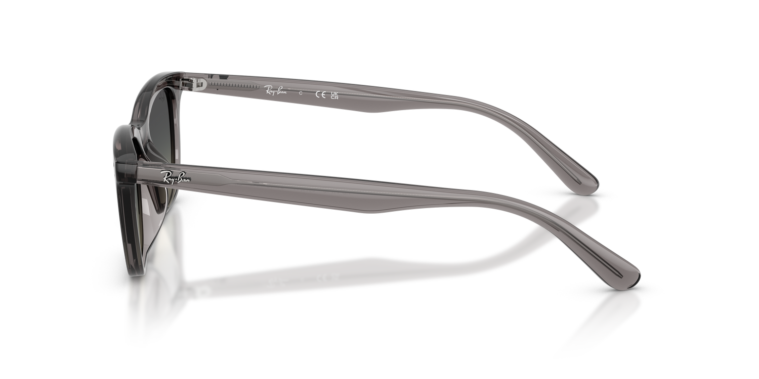 RAY-BAN RB4474D 667511 54