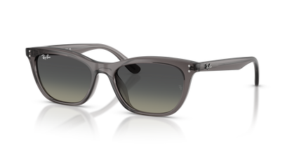 RAY-BAN RB4474D 667511 54