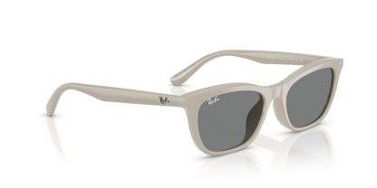 RAY-BAN RB4474D 685887 54
