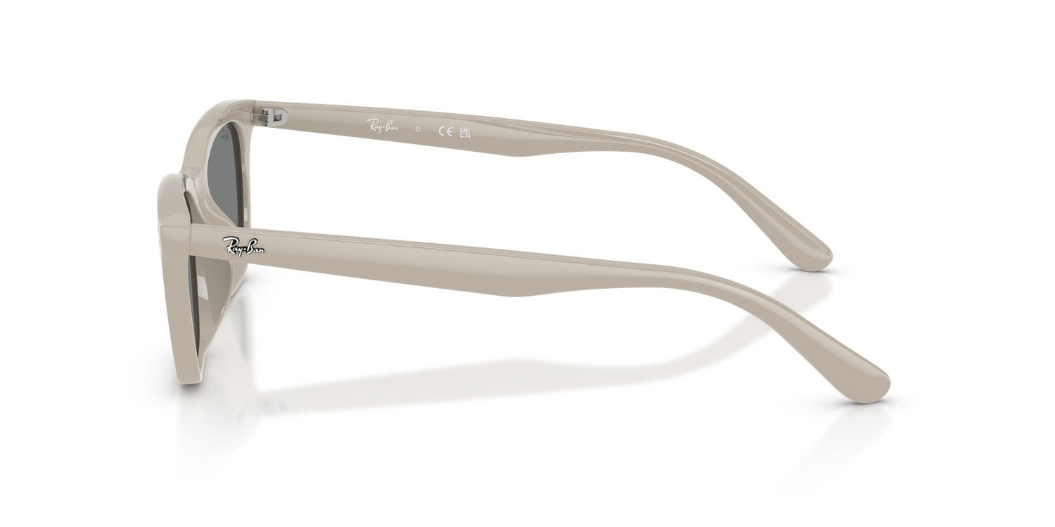RAY-BAN RB4474D 685887 54