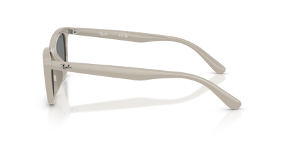 RAY-BAN RB4474D 685887 54