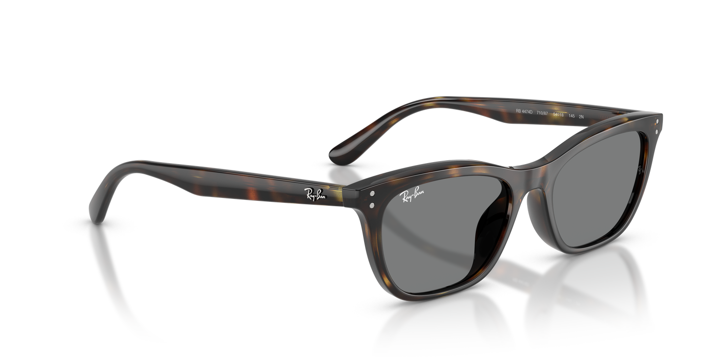 RAY-BAN RB4474D 710/87 54