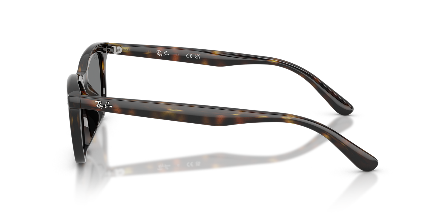 RAY-BAN RB4474D 710/87 54