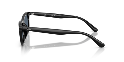 RAY-BAN RB4474D 901/2V 54