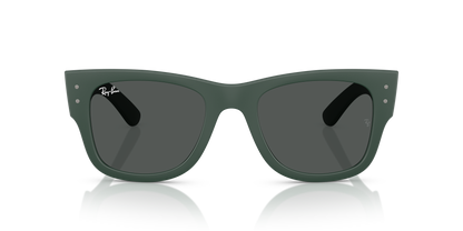 RAY-BAN RB4840S 665787 50