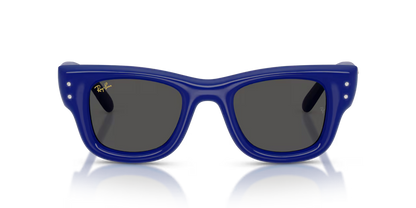 RAY-BAN RB4940B WAYFARER PUFFER 686087 47