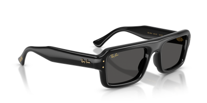RAY-BAN RB4954 601/87 54