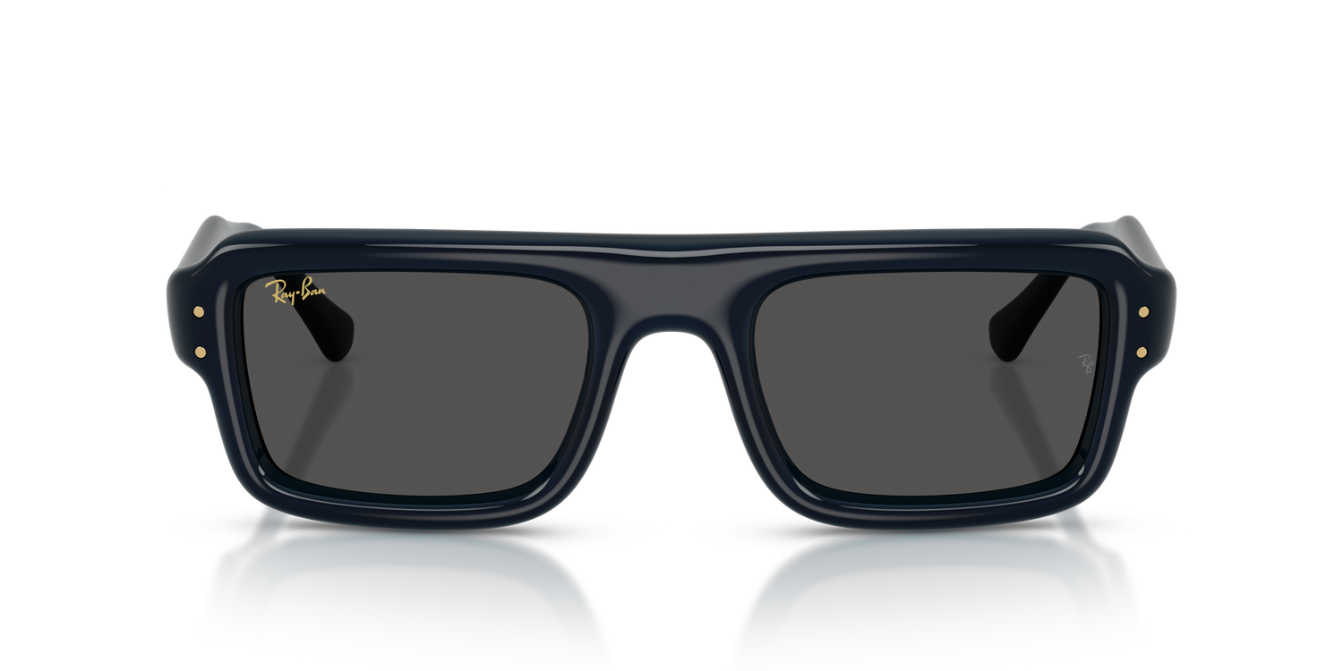 RAY-BAN RB4954 689587 52