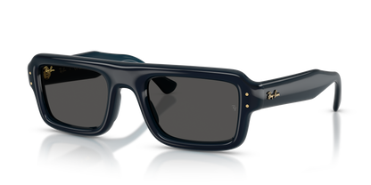 RAY-BAN RB4954 689587 54