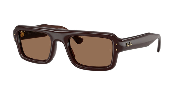 RAY-BAN RB4954 689673 52