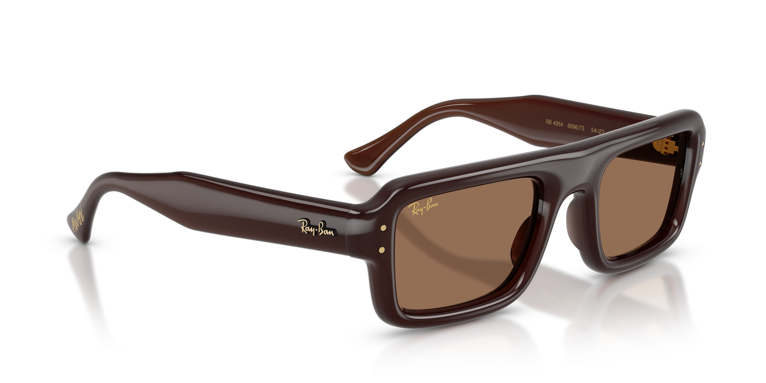 RAY-BAN RB4954 689673 54