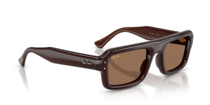 RAY-BAN RB4954 689673 54