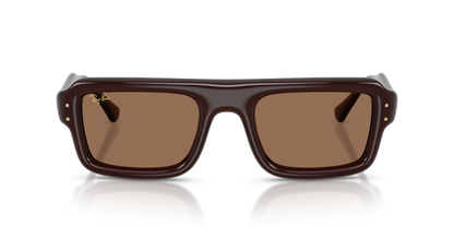 RAY-BAN RB4954 689673 54