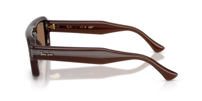 RAY-BAN RB4954 689673 54