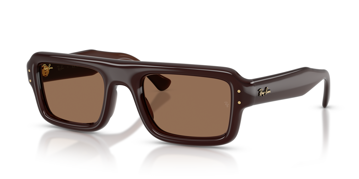 RAY-BAN RB4954 689673 54