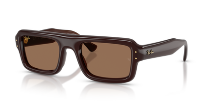 RAY-BAN RB4954 689673 52