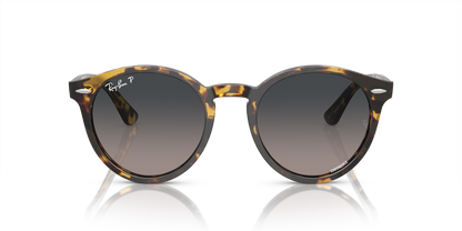 RAY-BAN RB7680S LARRY 1332GL 49 - 4