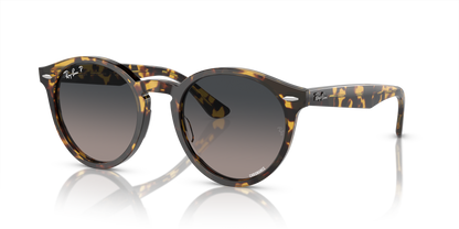 RAY-BAN RB7680S LARRY 1332GL 49 - 6