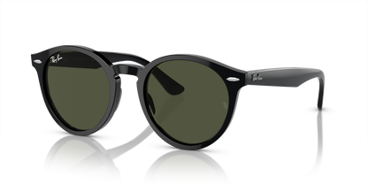 RAY-BAN RB7680S LARRY 901/31 49