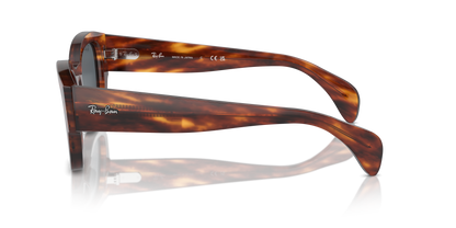 RAY-BAN RB7681S JORGE 954/R5 52