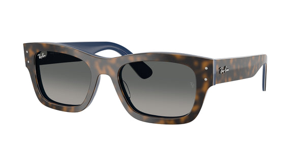 RAY-BAN RB7683S JOSEPH 140171 55